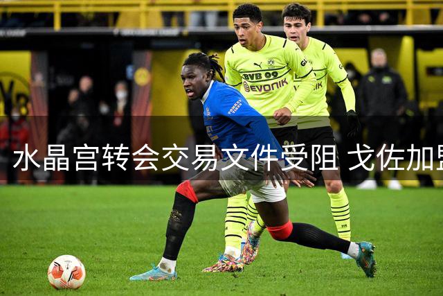 水晶宫转会交易文件受阻 戈佐加盟程序待批