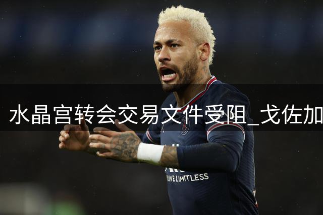 水晶宫转会交易文件受阻 戈佐加盟程序待批